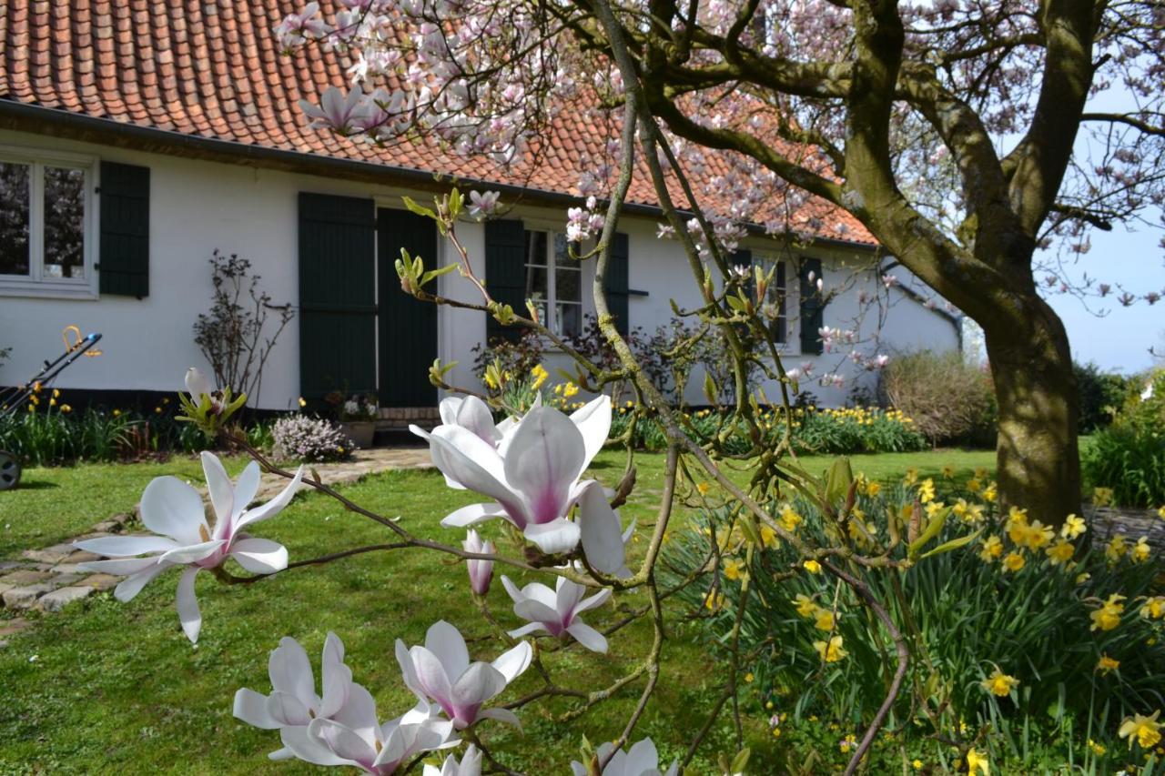 La Longere D'Ecottes Bed & Breakfast Licques Exterior foto